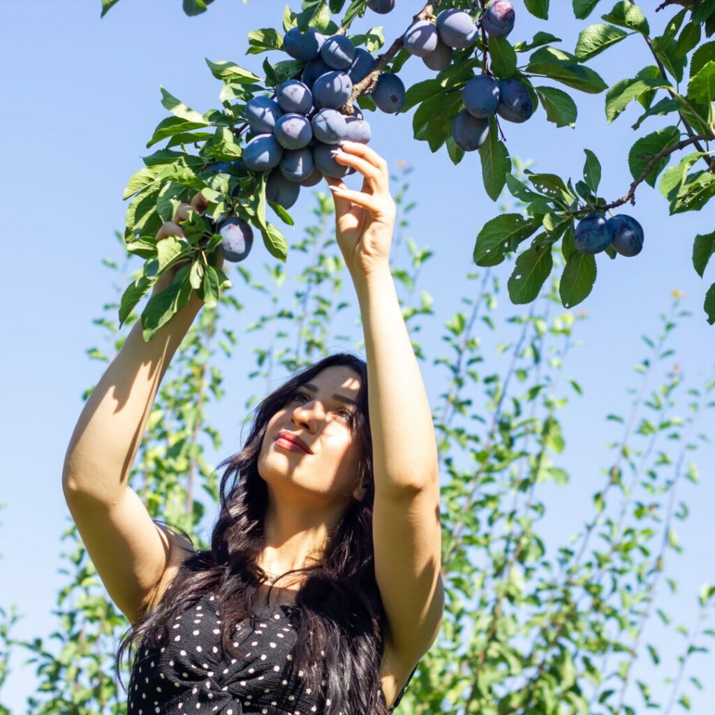 Una ragazza che raccoglie frutti per gestire il troppo lavoro concentrandosi sul principio 80/20.