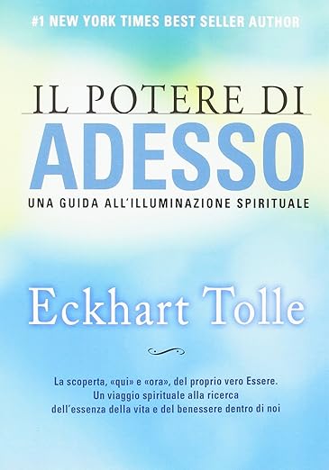 Il Potere di Adesso: copertina