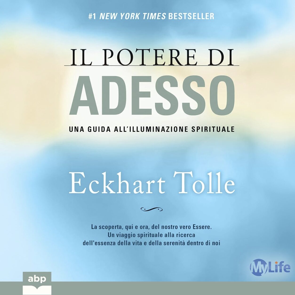 Il Potere di Adesso: Copertina